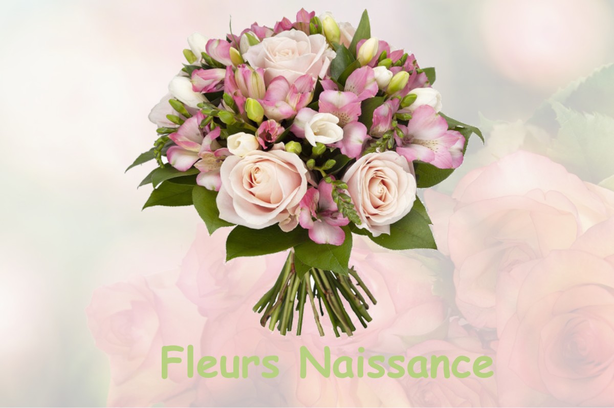 fleurs naissance INGRANDES-DE-TOURAINE